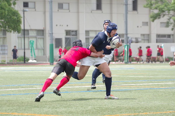 写真